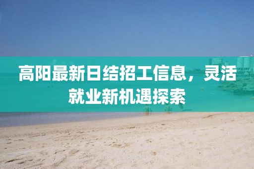 高陽最新日結(jié)招工信息，靈活就業(yè)新機遇探索