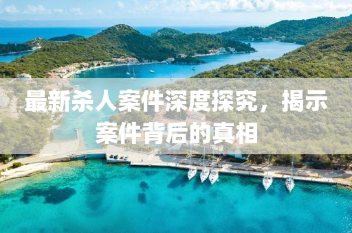 最新殺人案件深度探究，揭示案件背后的真相