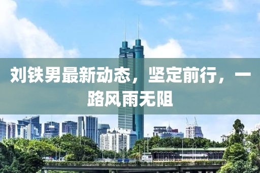 劉鐵男最新動態(tài)，堅定前行，一路風雨無阻