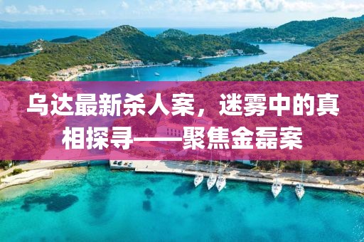 烏達(dá)最新殺人案，迷霧中的真相探尋——聚焦金磊案