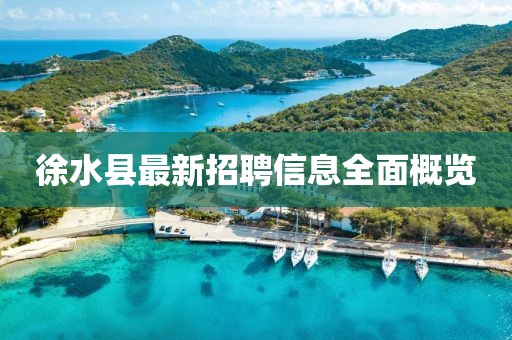 徐水縣最新招聘信息全面概覽