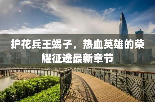 護(hù)花兵王蝎子，熱血英雄的榮耀征途最新章節(jié)