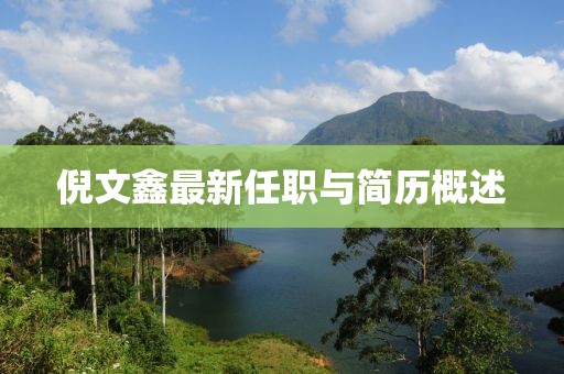 倪文鑫最新任職與簡歷概述