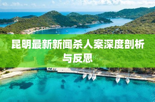 昆明最新新聞殺人案深度剖析與反思