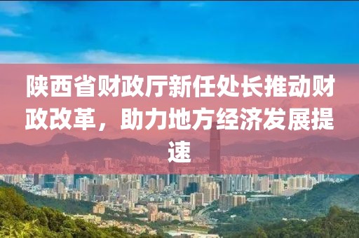 陜西省財政廳新任處長推動財政改革，助力地方經(jīng)濟(jì)發(fā)展提速