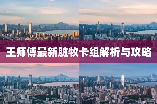王師傅最新臟牧卡組解析與攻略