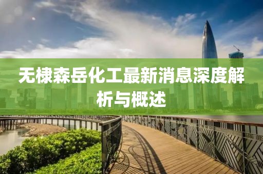無棣森岳化工最新消息深度解析與概述