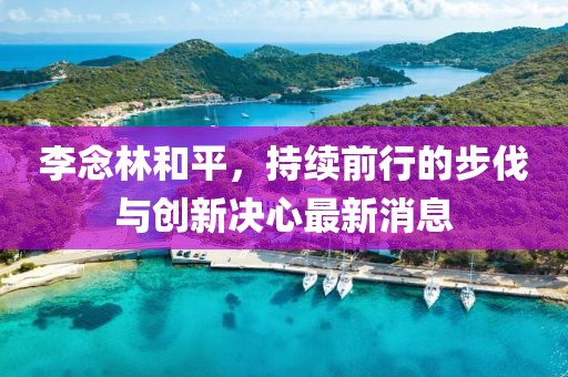 李念林和平，持續(xù)前行的步伐與創(chuàng)新決心最新消息