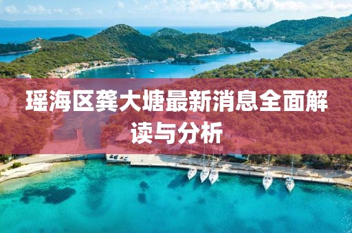 瑤海區(qū)龔大塘最新消息全面解讀與分析