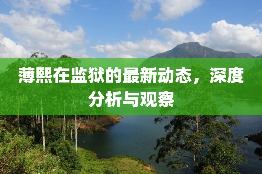 薄熙在監(jiān)獄的最新動態(tài)，深度分析與觀察