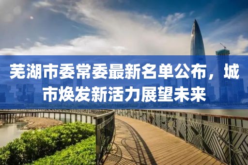 蕪湖市委常委最新名單公布，城市煥發(fā)新活力展望未來