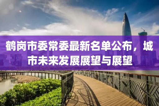 鶴崗市委常委最新名單公布，城市未來發(fā)展展望與展望