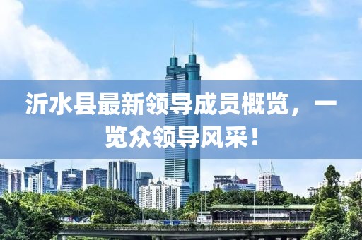 沂水縣最新領(lǐng)導(dǎo)成員概覽，一覽眾領(lǐng)導(dǎo)風(fēng)采！