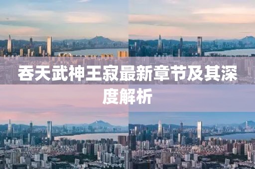 吞天武神王寂最新章節(jié)及其深度解析