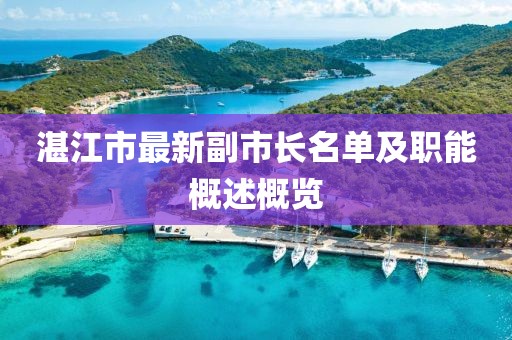 湛江市最新副市長名單及職能概述概覽