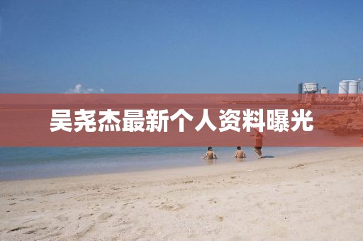 吳堯杰最新個人資料曝光