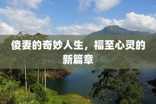 傻妻的奇妙人生，福至心靈的新篇章