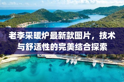 老李采暖爐最新款圖片，技術(shù)與舒適性的完美結(jié)合探索