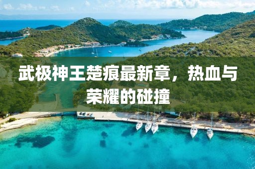 武極神王楚痕最新章，熱血與榮耀的碰撞