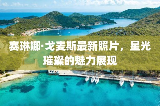 賽琳娜·戈麥斯最新照片，星光璀璨的魅力展現(xiàn)