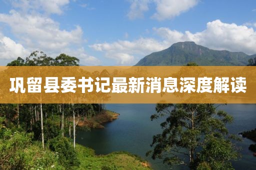 鞏留縣委書記最新消息深度解讀