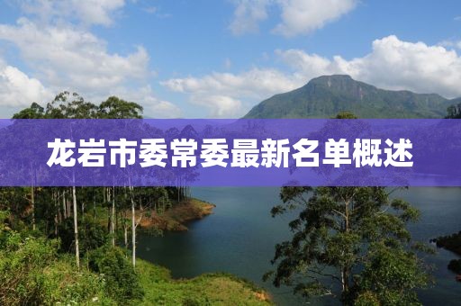龍巖市委常委最新名單概述