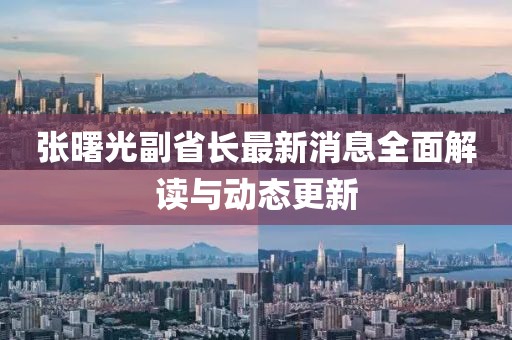 張曙光副省長(zhǎng)最新消息全面解讀與動(dòng)態(tài)更新