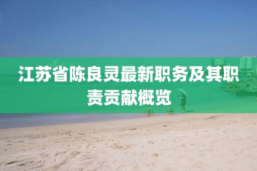 江蘇省陳良靈最新職務(wù)及其職責(zé)貢獻(xiàn)概覽