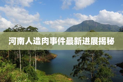 河南人造肉事件最新進(jìn)展揭秘