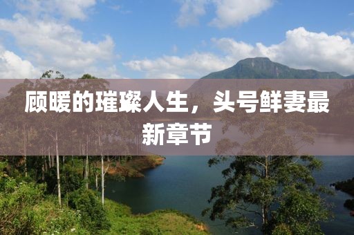 顧暖的璀璨人生，頭號(hào)鮮妻最新章節(jié)