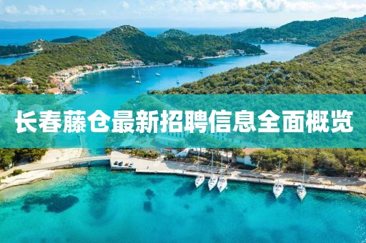 長(zhǎng)春藤倉(cāng)最新招聘信息全面概覽