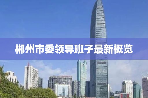郴州市委領(lǐng)導(dǎo)班子最新概覽