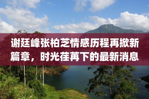 謝廷峰張柏芝情感歷程再掀新篇章，時光荏苒下的最新消息