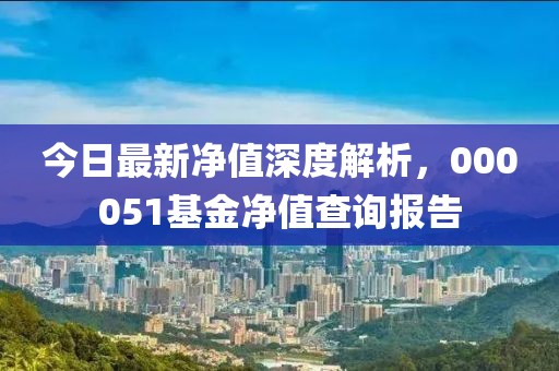 今日最新凈值深度解析，000051基金凈值查詢報(bào)告