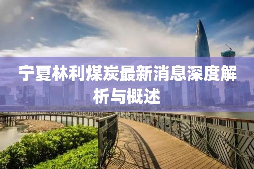 寧夏林利煤炭最新消息深度解析與概述