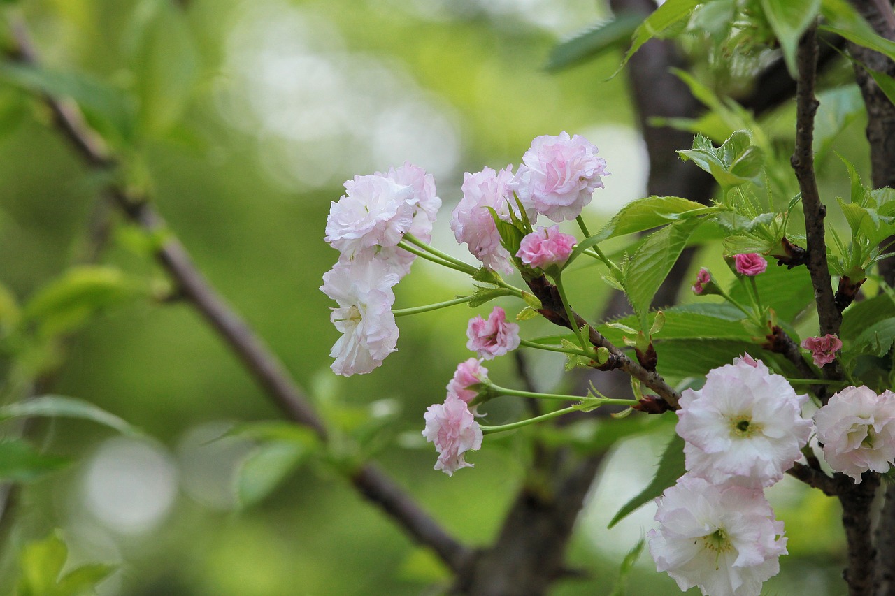 蜜餞兒 第29頁
