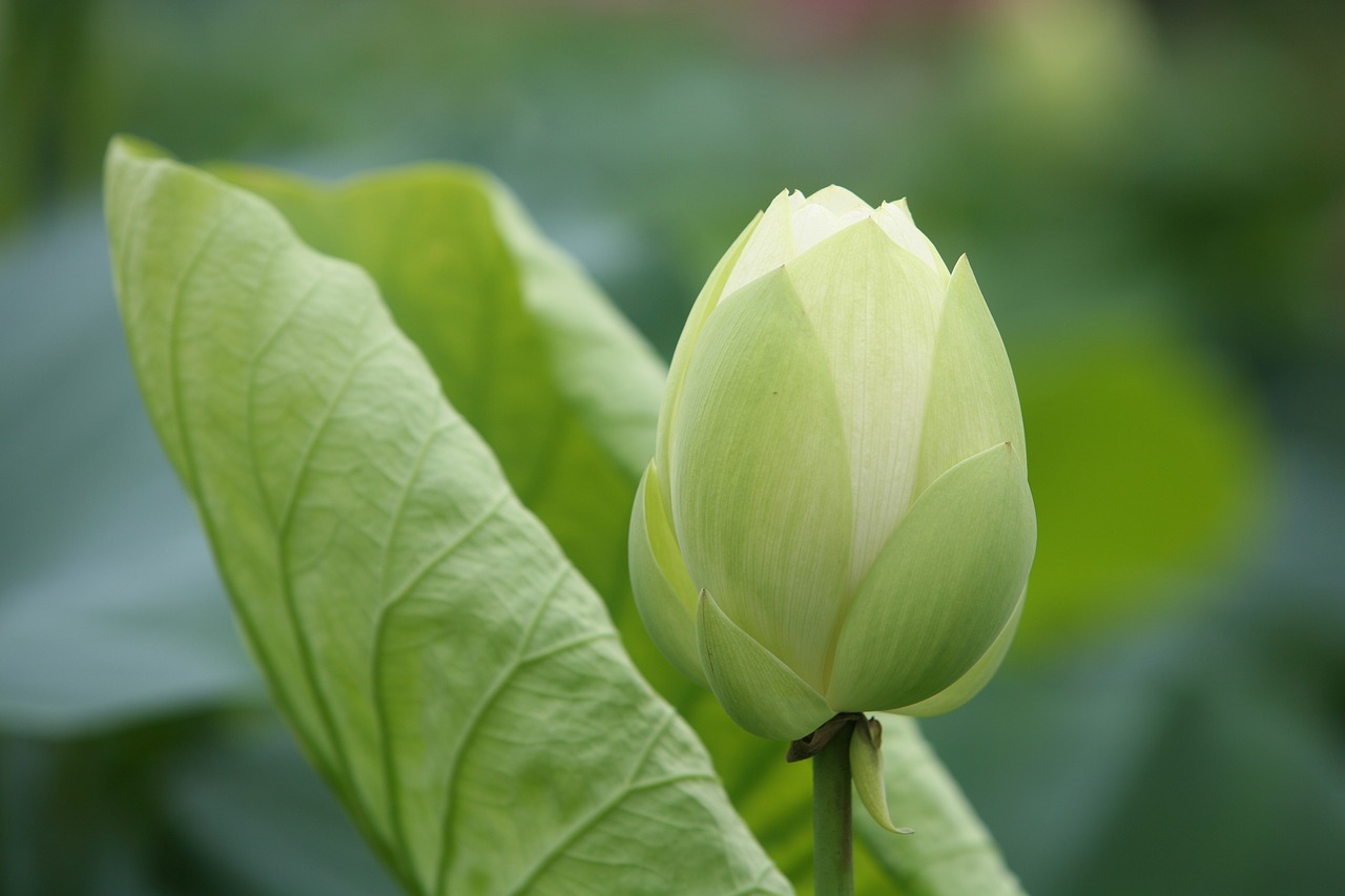 應(yīng)用案例 第584頁