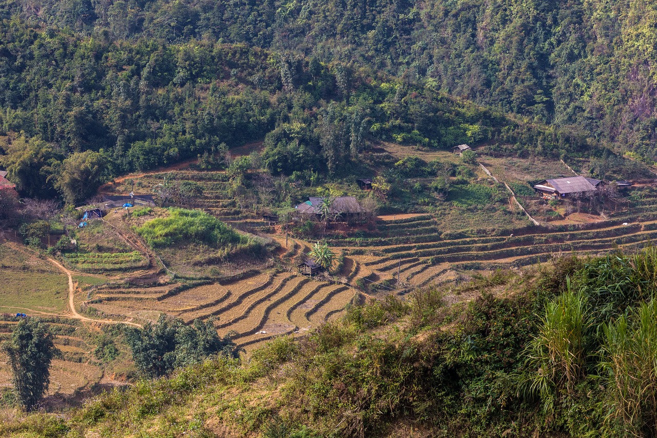 符離鎮(zhèn)最新規(guī)劃圖揭曉，展望繁榮未來(lái)，符離鎮(zhèn)2016規(guī)劃展望