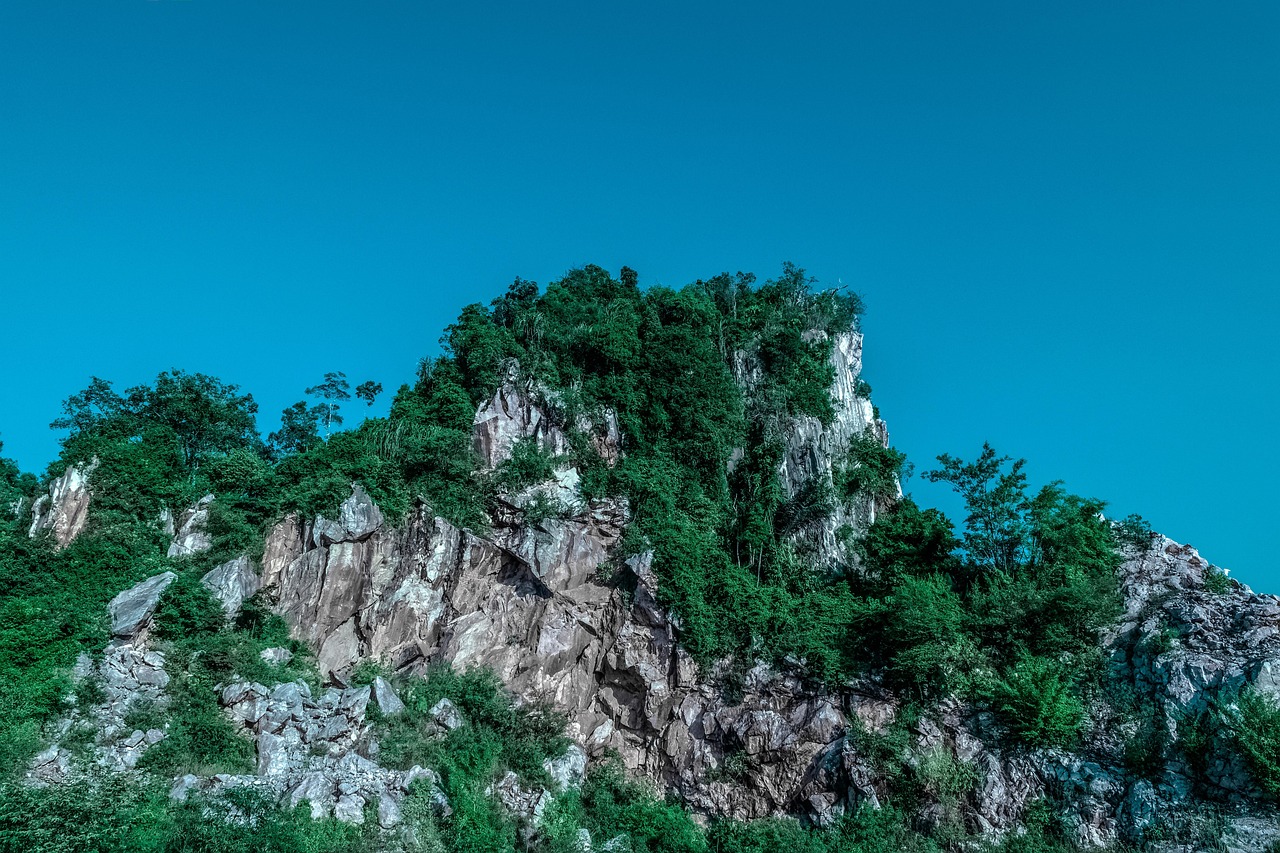 傳藝科技股票最新消息綜述，掌握最新動態(tài)，洞悉股市走向