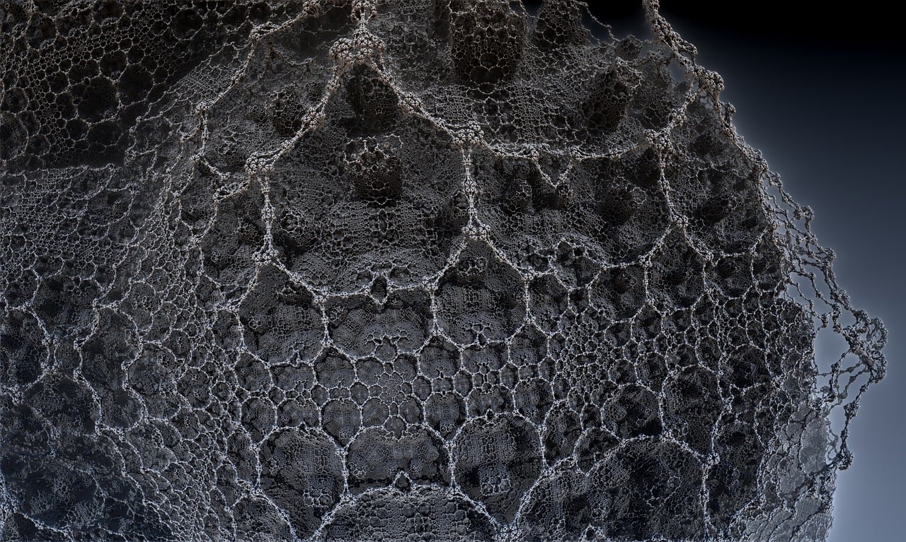 遼寧隋顯利最新動(dòng)態(tài)，傳奇人物的嶄新篇章