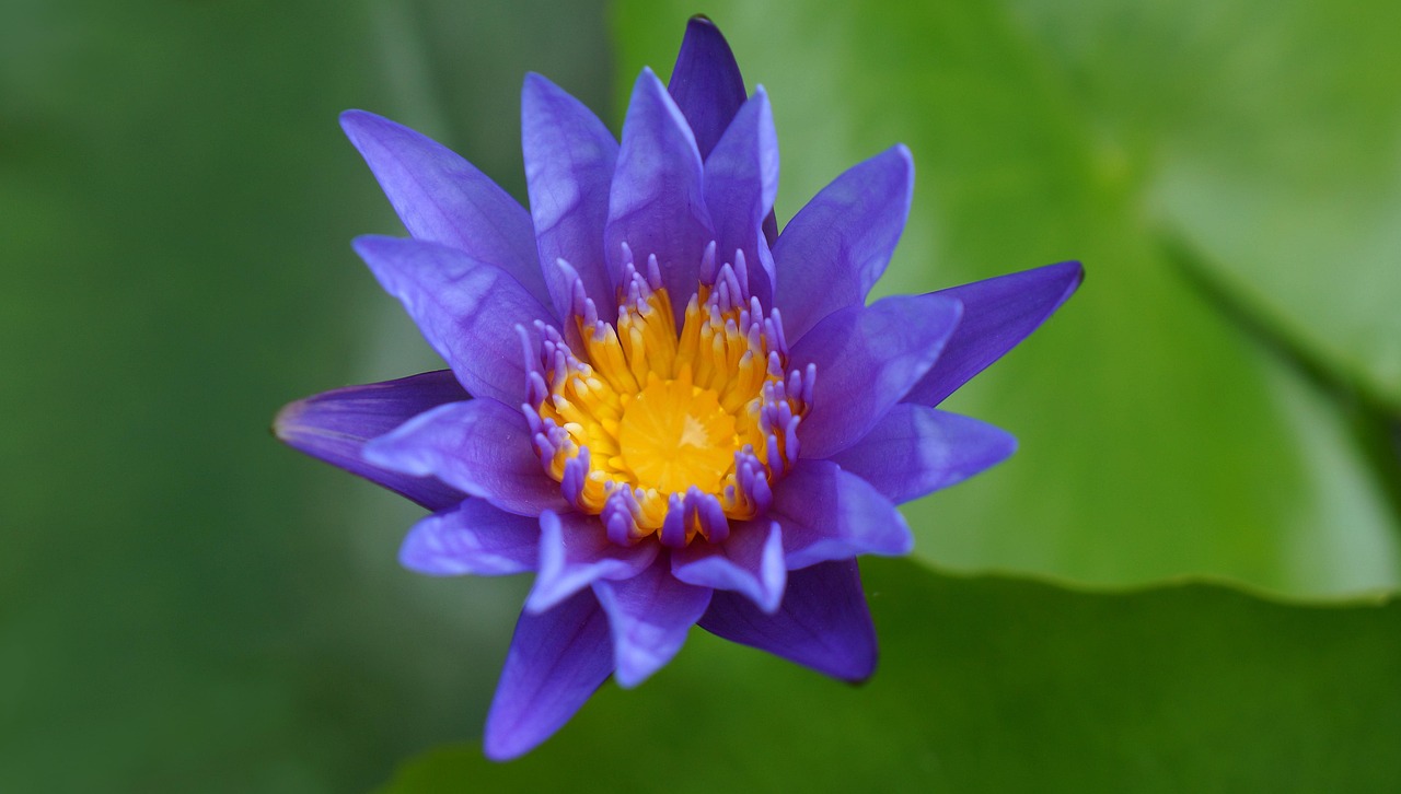 雙陽(yáng)區(qū)火車站邁向現(xiàn)代化，提升服務(wù)質(zhì)量，最新動(dòng)態(tài)報(bào)告