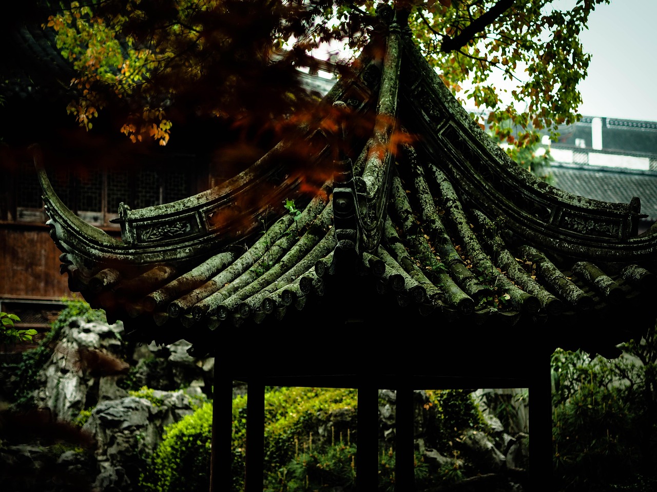 中國女排隊蓄勢待發(fā)，展現(xiàn)新篇章，最新消息與動態(tài)速遞