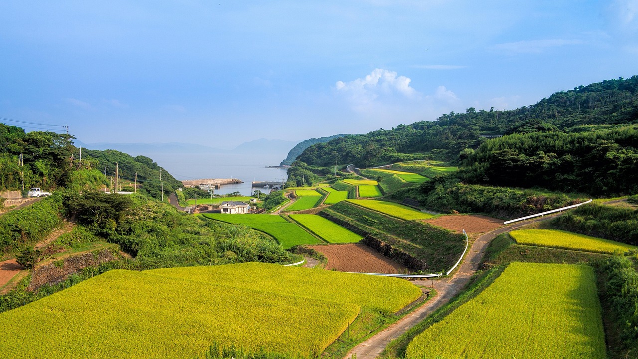 廣西靈山高速建設(shè)進展揭秘，最新消息與未來展望