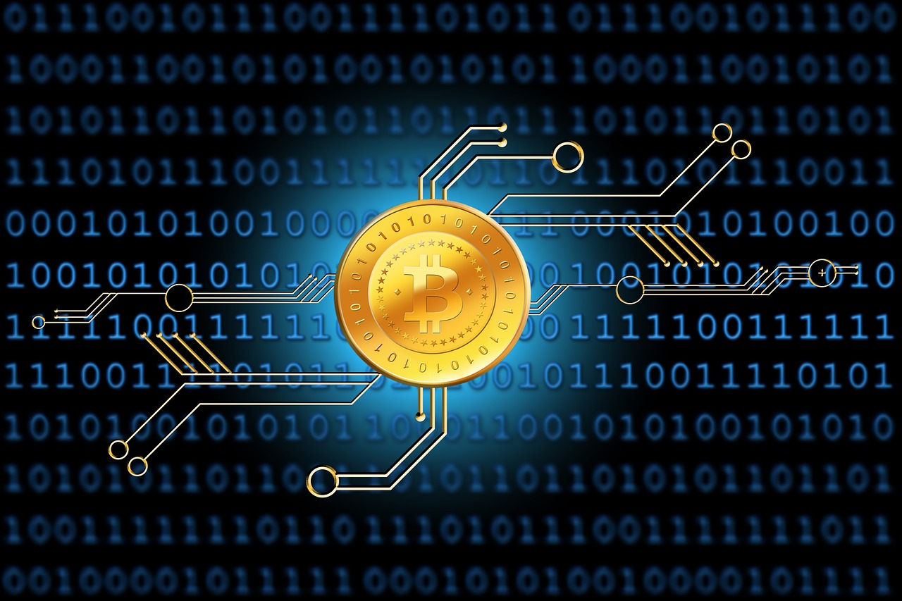 最新傳染病分類及種類概述，全面解析傳染病的世界