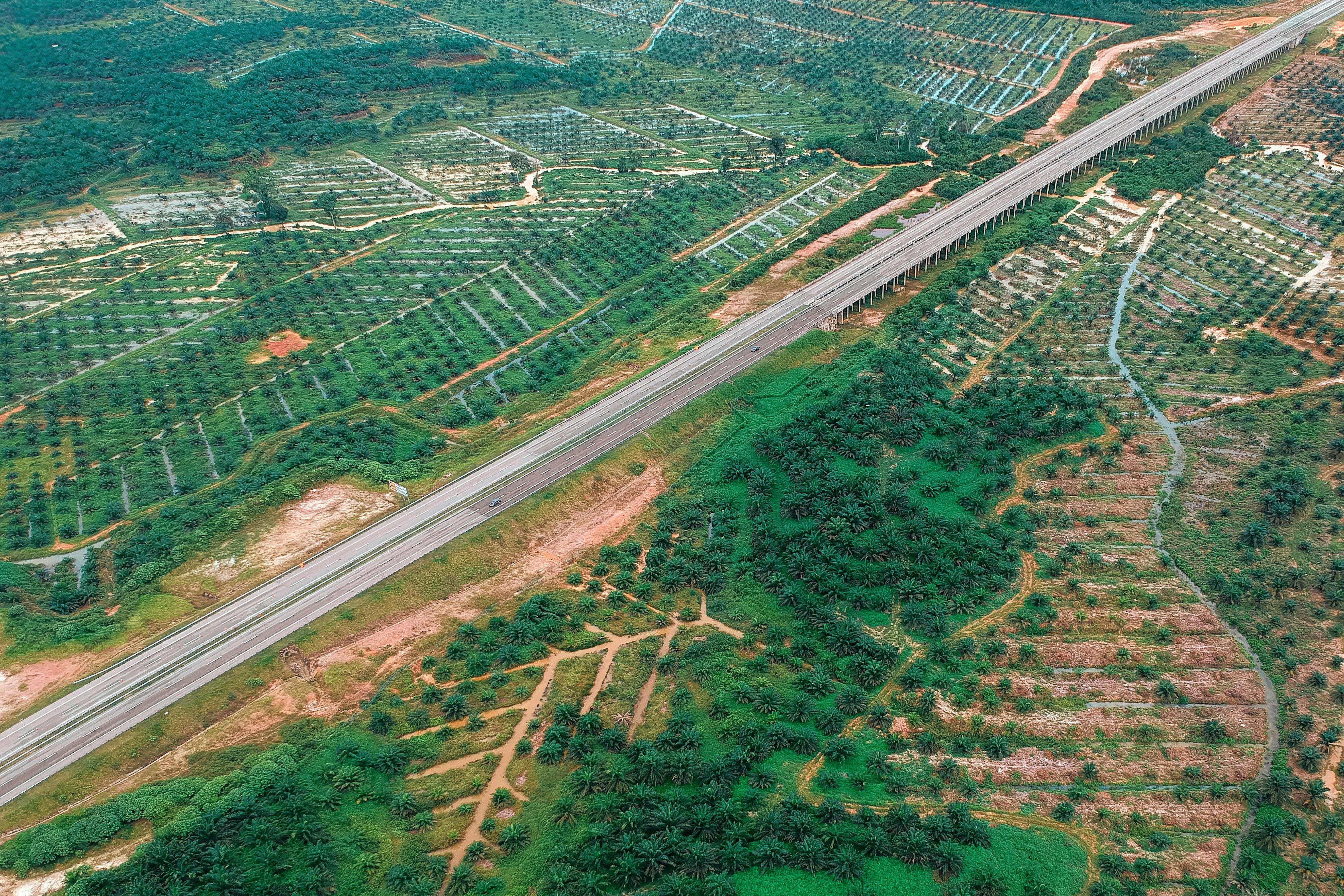 興富高速公路最新進(jìn)展報(bào)告更新，建設(shè)進(jìn)度一覽