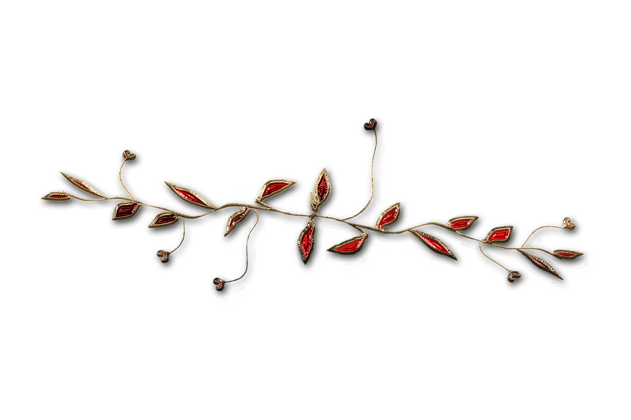 廣西大紅八角產(chǎn)業(yè)蓬勃發(fā)展，前景廣闊，最新消息與動態(tài)