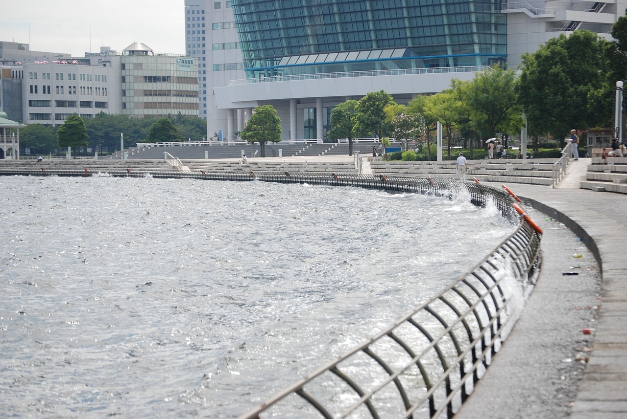 鄭州海昌海洋公園最新動態(tài)揭秘，揭開神秘面紗，展現(xiàn)海洋魅力奇觀