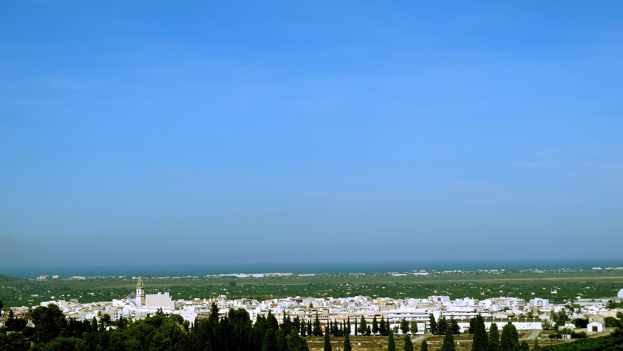 食用油漲價最新動態(tài)，原因分析與市場觀察